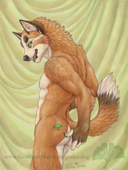 created by ginko dog