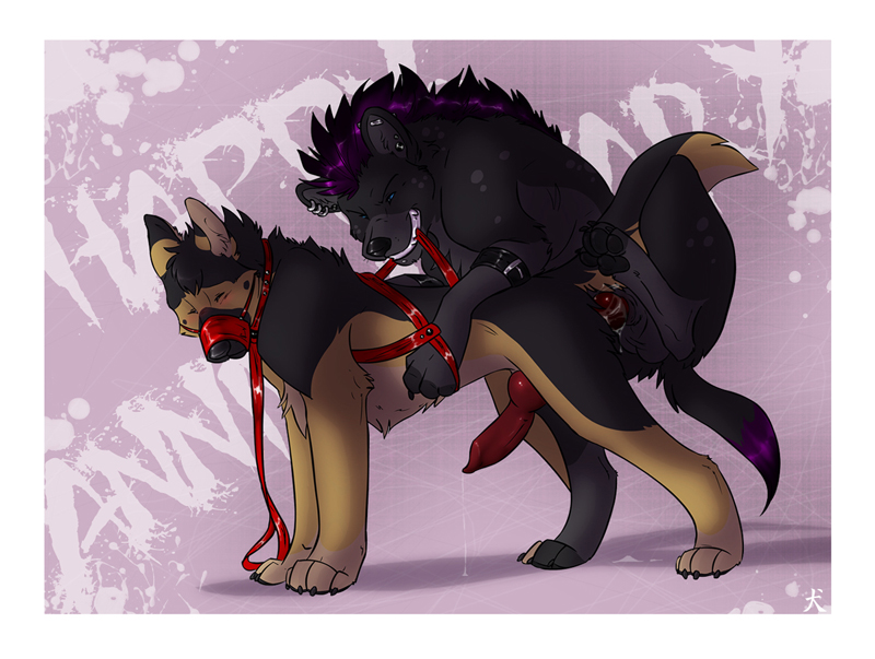 arkanis and marlo created by straydog