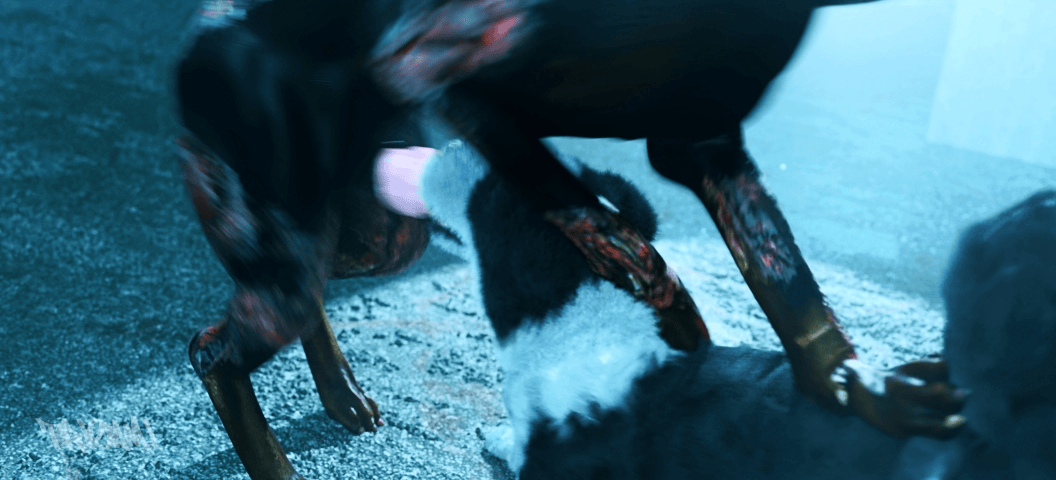 resident evil and etc created by trioami260