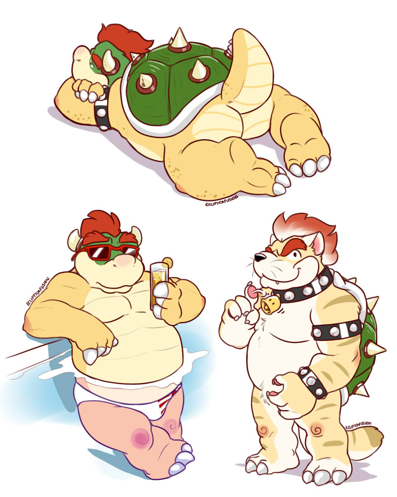 bowser and meowser (super mario 3d world and etc) created by eclipticafusion