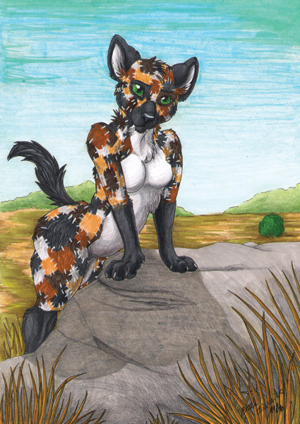 created by alma aurora