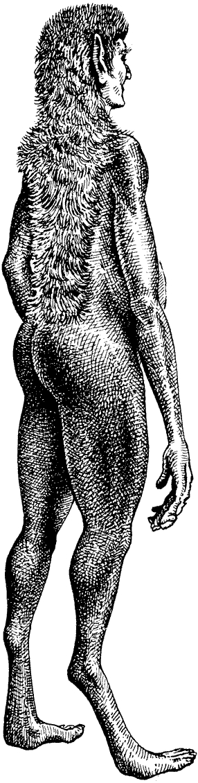 man after man created by dougal dixon