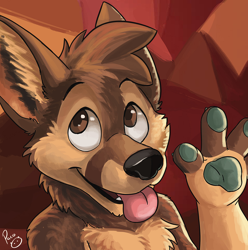 created by pandapaco