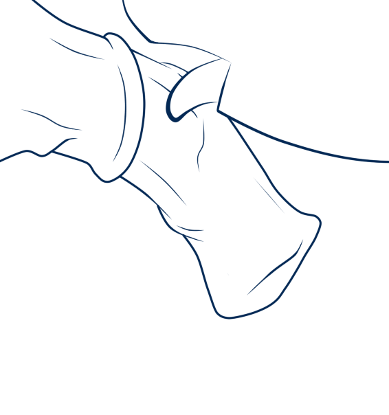 my little pony and etc created by cynosure