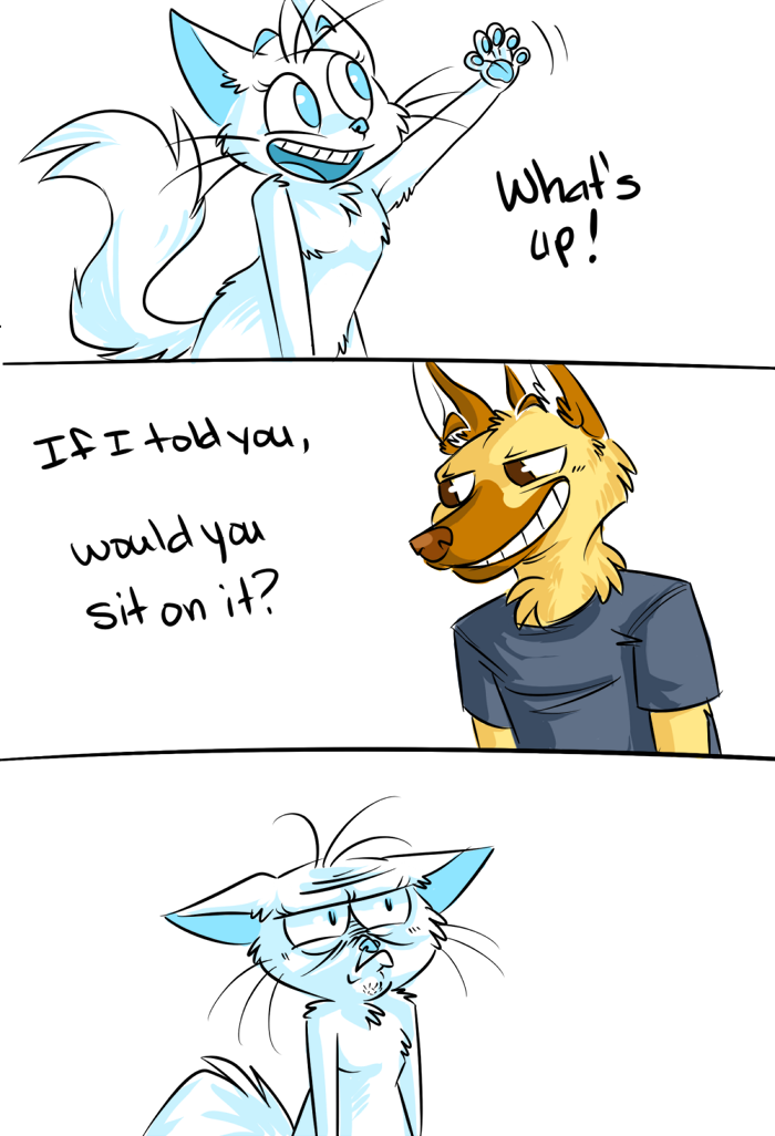 spam cat created by spamcat