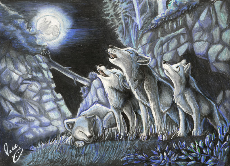 created by pandapaco