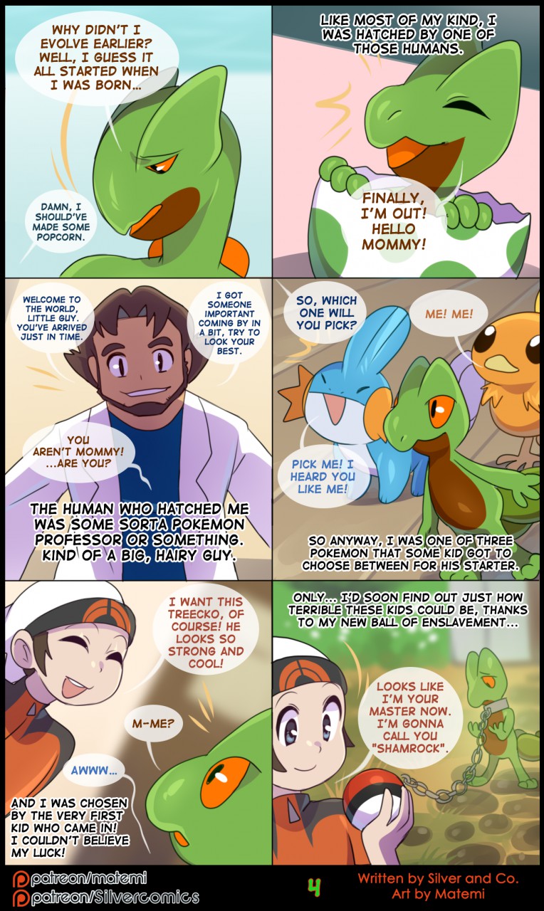 brendan, professor birch, and shamrock (silver soul team and etc) created by matemi