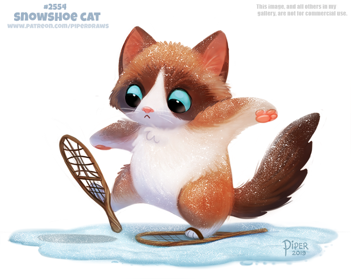 created by piper thibodeau