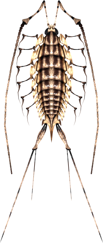 nato-kun created by deino (artist)