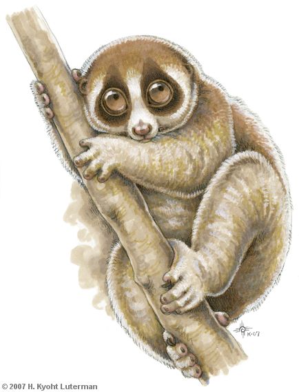 created by kyoht luterman