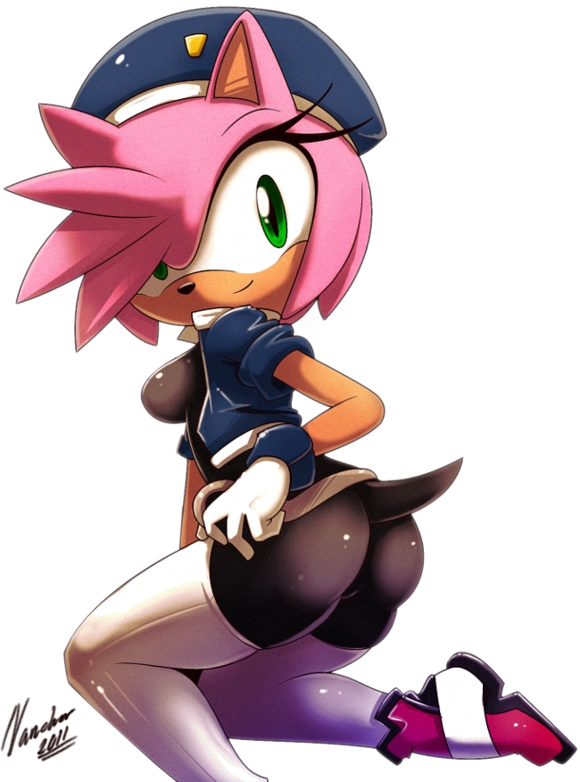 amy rose (sonic the hedgehog (series) and etc) created by nancher