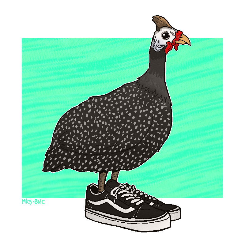 vans created by zamothos