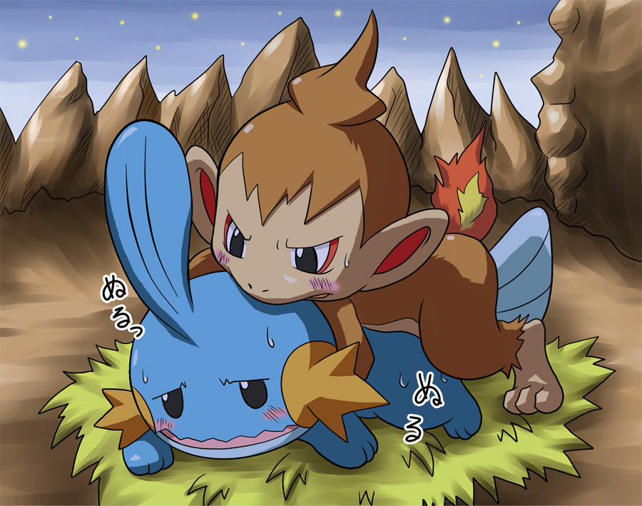 pokemon mystery dungeon and etc created by toraya inugami