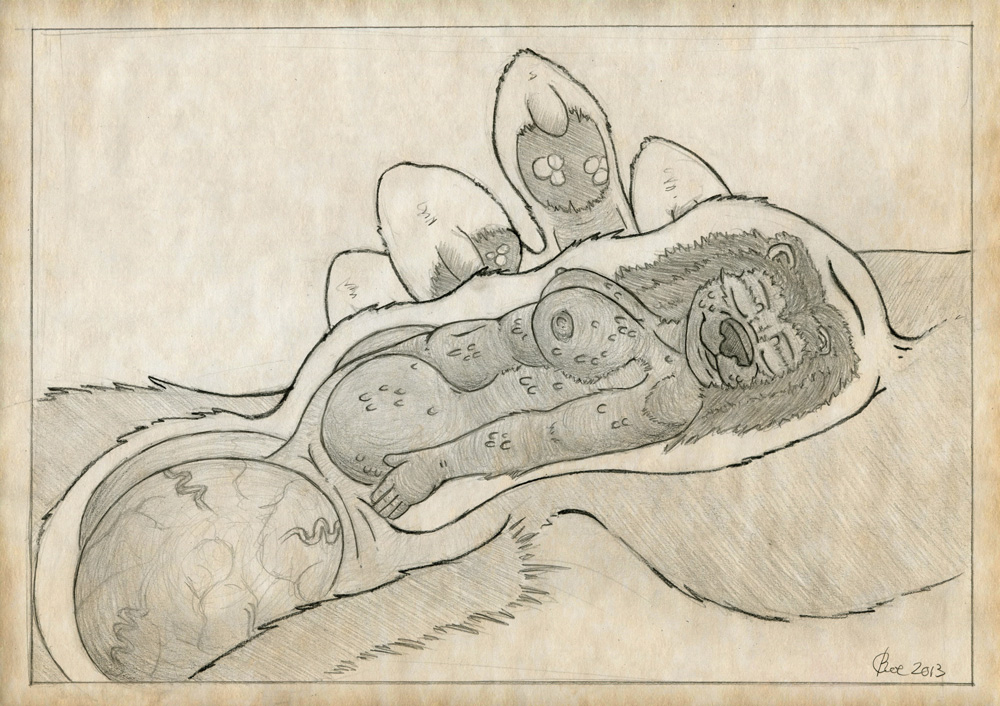 created by kimeramao