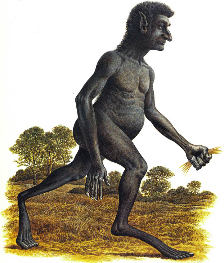 man after man created by dougal dixon