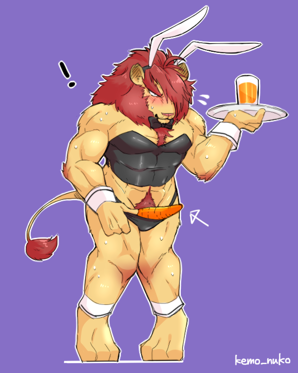 playboy created by kemo nuko