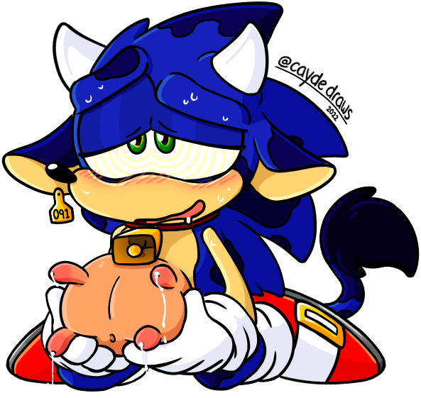 sonic the hedgehog (sonic the hedgehog (series) and etc) created by caydedraws