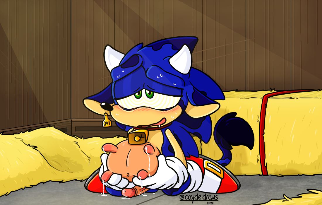 sonic the hedgehog (sonic the hedgehog (series) and etc) created by caydedraws
