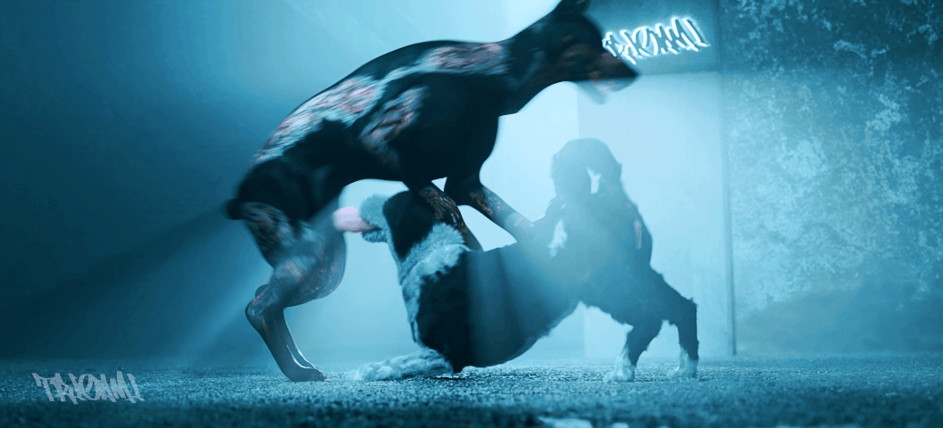 resident evil and etc created by trioami260