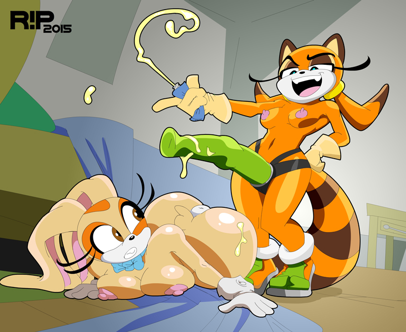 cream the rabbit and marine the raccoon (sonic the hedgehog (series) and etc) created by r!p