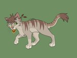 4:3 barkfur_(artist) brown_body brown_fur domestic_cat fan_character felid feline felis female feral fur green_background grey_body grey_fur hi_res holding_object mammal model_sheet simple_background solo warriors_(book_series)