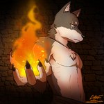 post #5372610