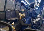 Rating: e
ID: 5634024
Date: 2025-06-10 21:37:03 -0400
Status: active
Score: 50
3d_(artwork) anthro argonian balls bethesda_game_studios canid canine clothed clothed_male clothing digital_media_(artwork) duo electronics erection exhibitionism fellatio fox genitals hi_res humanoid_genitalia humanoid_penis male male/male mammal microsoft muscular muscular_male non-mammal_balls nude oral penile penis phone public public_exposure public_nudity public_sex public_transportation reptile scales scalie sex solo tail teeth the_elder_scrolls tongue tristen wilddogheat post #5634024