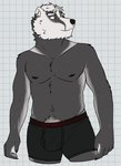 2024 anthro badger belly biped black_body black_claws black_clothing black_fur black_nipples black_nose black_underwear body_hair boxers_(clothing) boxers_only bulge checkered checkered_background cheek_tuft claws clothed clothing digital_drawing_(artwork) digital_media_(artwork) eyebrows facial_tuft fur hair happy_trail hi_res looking_aside male male_anthro mammal michael_o'connor_(templar) mustelid musteline nipples novel partially_clothed partially_clothed_male pattern_background portrait shirtless shirtless_male simple_background slightly_chubby solo standing super-nova three-quarter_portrait topless tuft underwear underwear_only unsafescapewolf white_background white_body white_eyebrows white_fur white_hair white_inner_ear white_sclera yellow_eyes