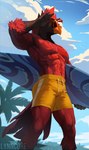 anthro avian beak biped bird cardinal_(bird) clothing cloud eyewear feathers hi_res lynncore male oscine palm_tree passerine phnod plant red_body red_feathers sky solo sunglasses swimming_trunks swimwear tail tail_feathers tree wet wet_body