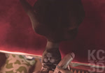 Rating: e
ID: 4852591
Date: 2024-06-14 14:23:43 -0400
Status: active
Score: 3188
2024 3d_(artwork) 3d_animation animated anthro anthro_penetrated arm_support aziya_(kc3d) background_music balls balls_deep bed bedroom_sex bethesda_game_studios big_breasts big_penis black_body black_fur black_nose blue_eyes blurred_background bodily_fluids body_part_in_mouth bouncing_balls bouncing_breasts breasts caressing_face close-up cockslap crotch_shot cum cum_in_mouth cum_inside deep_throat depth_of_field digital_media_(artwork) drinking drinking_cum dripping duo ejaculation erection face_fucking felid fellatio female female_on_human female_penetrated fingering fingering_self fingers first_person_view foreskin forward_arm_support fur furniture genital_close-up genital_fluids genitals hand_between_legs hand_on_cheek hand_on_face hand_on_pussy hi_res huge_filesize human human_on_anthro human_penetrating human_penetrating_anthro human_penetrating_female human_pov humanoid inside interspecies irrumatio kc3d khajiit leaning leaning_forward long_playtime lying male male/female male_on_anthro male_penetrating male_penetrating_anthro male_penetrating_female male_pov mammal masturbation microsoft moan muffled multiple_angles music neck_bulge nipples noisy_oral nude on_back open_mouth oral oral_only oral_penetration oral_tugging orgasm orgasm_arch penetrating_pov penetration penile penile_penetration penis penis_in_mouth purring pussy pussy_close-up pussy_ejaculation pussy_juice_drip raised_hips saliva saliva_on_penis saliva_on_tongue sex sex_shot shaking shaking_orgasm slap sound sound_effects sound_warning swallowing the_elder_scrolls thick_thighs throat_swabbing thrusting tongue tongue_on_penis tongue_out trembling upside_down_fellatio vaginal vaginal_fingering vaginal_fluids vaginal_masturbation vein veiny_penis webm wide_hips post #4852591
