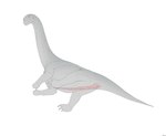 2024 absurd_res animal_genitalia anus butt camarasaurid camarasaurus claws cloaca cloacal_penis countershading digital_media_(artwork) dinosaur erection feral genitals grey_body hi_res long_neck long_penis looking_back lying male on_side penis pink_cloaca pink_penis prehistoric_species reptile sauropod sauropodomorph scalie seminal_groove simple_background solo tail three-quarter_view white_background zw3