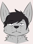 Rating: s
ID: 4917296
Date: 2024-07-13 17:33:19 -0400
Status: active
Score: 5
anthro black_hair black_nose canid canine ears_up eye_contact fur grey_body grey_fur greyscale hair headshot_portrait looking_at_another looking_at_viewer lucas_poland male mammal monochrome neutral_expression pointy_ears portrait slavv0 solo post #4917296
