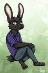 anthro bad_guy_cafe black_body black_fur fur hare lagomorph leporid male mammal shevron sitting solo yellow_eyes ziegelzeig