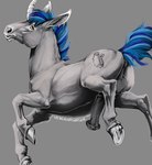 2024 anatomically_correct anatomically_correct_genitalia anatomically_correct_penis animal_genitalia animal_penis anus backsack balls blue_hair blue_mane brown_eyes butt cutie_mark digital_media_(artwork) equid equine equine_anus equine_genitalia equine_penis erection feral fetlocks flared_penis fur genitals grey_background grey_body grey_fur hair hasbro hi_res hooves horn horse looking_at_viewer looking_back male mammal mane medial_ring multicolored_hair my_little_pony mythological_creature mythological_equine mythology penis perineum pony puffy_anus quadruped raised_tail signature simple_background solo tail tail_anus underhoof unicorn unicorn_horn venlightchaser