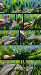 Rating: s
ID: 5654887
Date: 2025-06-20 03:28:25 -0400
Status: active
Score: 2
2016 ambiguous_gender cetacean comic dolphin echo exclamation_point feral fish heart_symbol hi_res lunara mammal marine orcasanddragons question_mark seaweed toothed_whale underwater water post #5654887