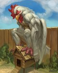 2023 4:5 absurd_res anthro avian beak biceps biped bird buckovskiart chicken chicken_coop cloud day digital_media_(artwork) feathered_wings feathers feet fence galliform gallus_(genus) grass hi_res male muscular muscular_anthro muscular_male muscular_thighs outside pecs phasianid plant pose quads sky solo talons thick_thighs toes vein veiny_arms veiny_muscles wereavian werebird werechicken werecreature white_body white_feathers wings yellow_beak