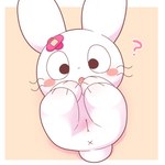 1:1 animal_genitalia anthro anus blush chibi female genitals hi_res lagomorph leporid looking_at_viewer lying mammal on_back onebchan open_mouth pussy question rabbit simple_background solo ukkachan x_anus