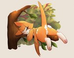 Rating: e
ID: 4422949
Date: 2023-11-18 19:57:42 -0500
Status: active
Score: 405
alternate_version_at_source anthro anus bat black_body black_fur blush butt cute_fangs dust:_an_elysian_tail eyelashes fangs female feral fidget_(elysian_tail) fur genitals green_eyes hand_on_butt heart_symbol hi_res humanoid_genitalia humanoid_pussy innie_pussy kjh_22 leaf looking_at_viewer looking_back looking_back_at_viewer lying mammal nimbat on_front one_eye_closed orange_body orange_ears orange_fur orange_tail pawpads paws plant pussy raised_tail solo tail tail_anus teeth tree white_body white_fur wings post #4422949