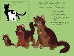 4:3 barkfur_(artist) brown_body brown_fur domestic_cat english_text felid feline felis feral fur hi_res male mammal model_sheet rodent sciurid solo text trans_(lore) trans_man_(lore) tree_squirrel young