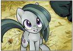 2016 border cutie_mark daww earth_pony equid equine female feral friendship_is_magic fur grey_body grey_fur grey_hair hair hasbro hay horse looking_at_viewer looking_up looking_up_at_viewer mammal marble_pie_(mlp) my_little_pony pencils_(artist) pony purple_eyes smile smiling_at_viewer solo white_border