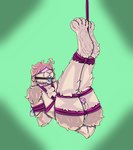 Rating: e
ID: 5576975
Date: 2025-05-16 16:10:19 -0400
Status: pending
Score: 5
anus balls bdsm big_butt blindfold bodily_fluids bondage bondage_gear bound buckteeth butt chastity_cage chastity_device digital_media_(artwork) erection feet femboy footmittens fur gag genital_fluids genitals hair hi_res hindpaw lagomorph leporid male mammal nude open_mouth paws penis penis_between_thighs rabbit rabbit_ears restraints ring_gag rodent rope rope_bondage rope_harness rope_pull scut_tail short_tail simple_background slut_collar smile solo submissive tail teeth post #5576975