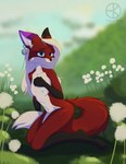 absurd_res anthro bell blue_eyes breasts canid canine ear_bell ear_piercing ear_ring ebbakatten female fox fur hi_res mammal meadow navel nipples paws piercing purple_ear red_body red_fur ring_piercing solo tail