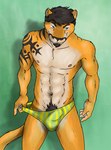 anthro black_body black_fur black_hair blue_eyes briefs briefs_only briefs_pull bulge clothed clothing clothing_pull detailed_background detailed_bulge facial_hair felid feline fur genital_outline goatee green_background green_briefs green_clothing green_underwear hair leomagna male mammal navel nipples orange_body orange_fur penis_outline pubes shadow simple_background smile solo striped_briefs tan_body tan_fur tattoo topless underwear underwear_only underwear_pull yellow_briefs yellow_clothing yellow_underwear