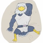 1:1 accipitrid accipitriform animal_crossing anthro apollo_(animal_crossing) armpit_hair avian bald_eagle bird blush bodily_fluids body_hair bulge clothed clothing eagle erection erection_under_clothing feathers genitals hands_behind_head hi_res lucusfox male mature_male nintendo penis sea_eagle shirt solo sweat tank_top tired topwear underwear