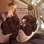 Rating: e
ID: 4672548
Date: 2024-03-22 02:02:25 -0400
Status: active
Score: 54
4_toes anthro between_toes cheetah claws collar dialogue digit_ring dirty dirty_feet duo english_text feet felid feline foot_fetish foot_focus foot_play hi_res jewelry leash male male/male mammal micro pawpads paws ring soles text toe_claws toe_ring toes verysleepycat post #4672548