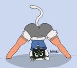 Rating: q
ID: 3640895
Date: 2022-10-21 12:33:25 -0400
Status: active
Score: 37
2022 :3 anthro anthrofied bellabot breasts butt cleavage_cutout clothing cutout cybernetic_head cybernetics cyborg domestic_cat electronics felid feline felis female for_a_head fur grey_body grey_fur hi_res kubson275 legwear looking_at_viewer looking_back looking_back_at_viewer machine mammal object_head pudu_robotics rear_view screen screen_face screen_head solo stockings television thigh_highs tv_head white_body post #3640895