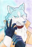 Rating: s
ID: 5536537
Date: 2025-04-28 16:32:17 -0400
Status: active
Score: 10
5_fingers absurd_res anthro blue_body blue_eyes blue_fur brand_new_animal canid canine canis clothing coat collar fingers fluffy front_view fur gloves handwear hi_res looking_at_viewer male mammal painting_(artwork) putting_on_gloves shirou_ogami solo some_(someone) standing stare studio_trigger topwear watercolor_(artwork) white_body white_fur wolf post #5536537