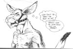 2003 abs angry anthro ball_gag chest_tuft clothed clothing english_text gag gagged humor kangaroo kangaroo-boy looking_at_viewer macropod male mammal marsupial monochrome muscular nipples pecs simple_background sketch solo straps text thought_bubble topless traditional_media_(artwork) tuft white_background