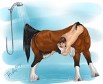 2018 animal_genitalia balls bathing black_tail brown_balls brown_body brown_fur brown_hair brown_sheath centaur dated equid equid_taur european_mythology flexible foam fully_sheathed fur genitals greek_mythology hair humanoid_taur male mammal mammal_taur mouth_closed mythology narrowed_eyes rufciu sheath short_hair showering side_view signature solo tail tan_body tan_skin taur wet wet_body wet_fur white_body white_fur