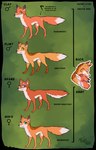 9:14 abby_(rukifox) akane_(rukifox) all_fours canid canine clay_(rukifox) dipstick_ears dipstick_tail ear_markings family family_tree female feral flint_(rukifox) fox fur green_eyes hi_res hiko_(rukifox) male mammal markings multicolored_ears orange_body orange_fur rick_(rukifox) rukifox tail tail_markings text url yellow_eyes